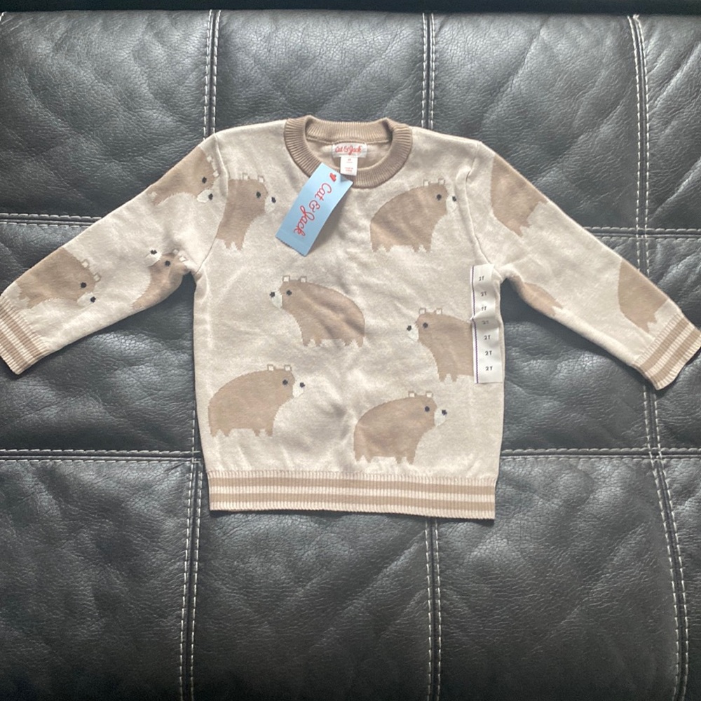 Cat & Jack 2T Toddler Boys Crewneck Pullover Sweater